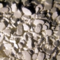 EasyRiff Calciumchlorid - Dihydrat 1kg Nachfllpackung