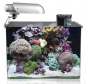 Aquatic Nature Cocoon 6