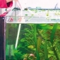 Aquarienscheiben Reiniger