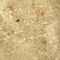 Live Sand